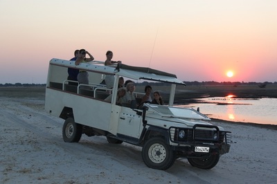 Game drive in the late afternoon, Chobe River. 