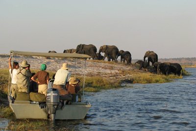 Boat excursion and elephant sighting, Zambezi Queen