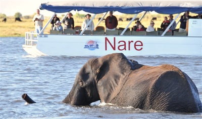 Mowana Safari Lodge river cruise and elephant sighting