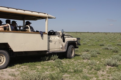 Game drive in the Kalahari, Botswana