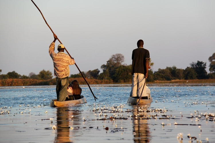 Mekoro excursion, gliding through the Okavango 