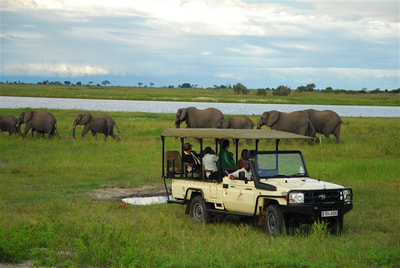 Game drive, and elephant herd, Chobe