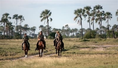 Horse Riding, Okavango Delta