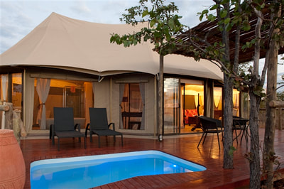 Luxury tented accommodation and private pool at The Elephant Camp, Victoria Falls