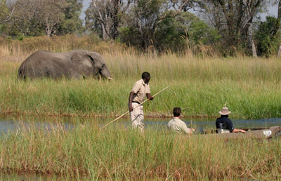 Mokoro excursion and elephant sighting, from Gunns Camp, Okavango Delta