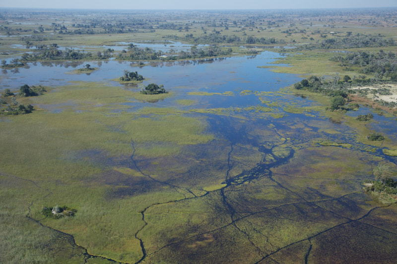 Aerial view of the waterways of the Okavango Delta