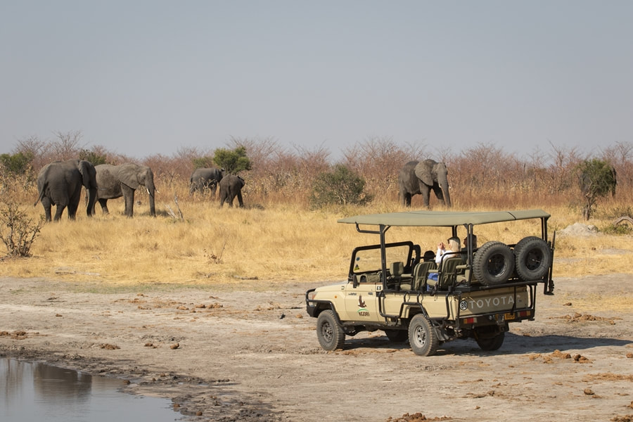 Mankwe Tented Retreat game drive and elephant sighting