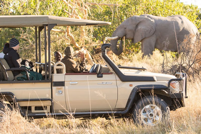 Rra Dinare Camp game drive and elephant sighting