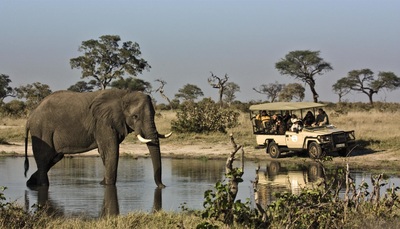 Savute Elephant Lodge, game drive and elephant sighting