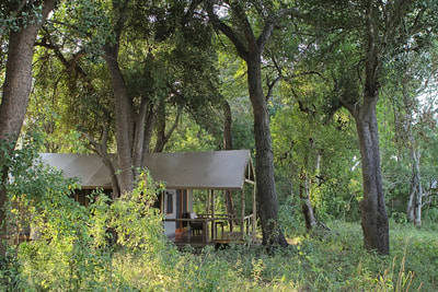 Luxury tented accommodation at Shinde Camp, Okavango Delta