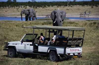 Savute Safari Lodge game drive and elephant sighting