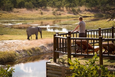 Savute Elephant Lodge view of elephant from deck