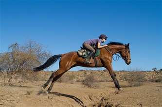 Some interesting riding on your Tuli Safari, Botswana