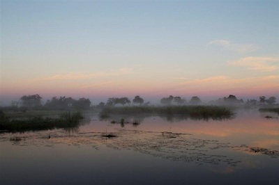 Sunrise Linyanti area Botswana