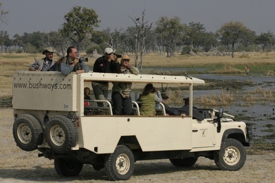 Game drive experience on your Botswana Safari