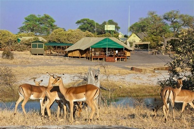 Camp Savuti view of Lodge