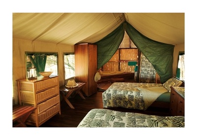 Edo's Camp guest tent interior