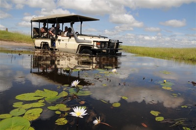 Game Drive in Moremi Game Reserve Botswana