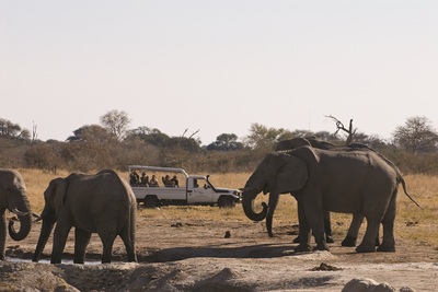 Game drive on the Botswana Explorer Safari