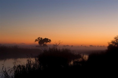 Morning mist over the Linyanti area, Botswana