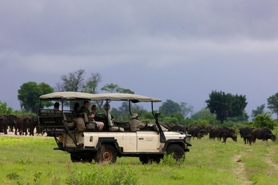 Duba Explorers Camp game drive and buffalo sighting