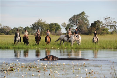 Game viewing from horseback, Okavango, Botswana