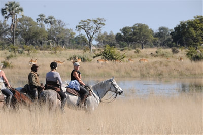 Enjoying game viewing from horseback, Okavango, Botswana