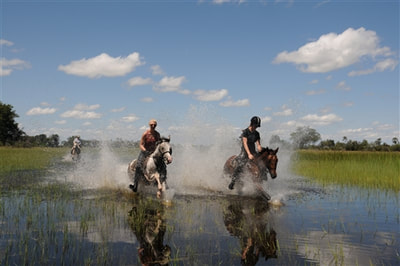 Unique horseback experience in the Okavango Delta