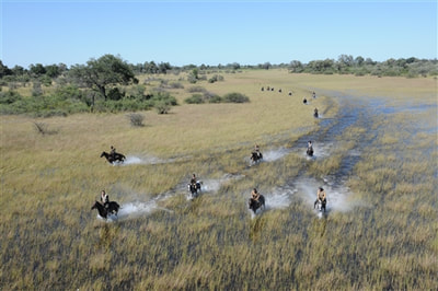 Horse Safari, Okavango Delta