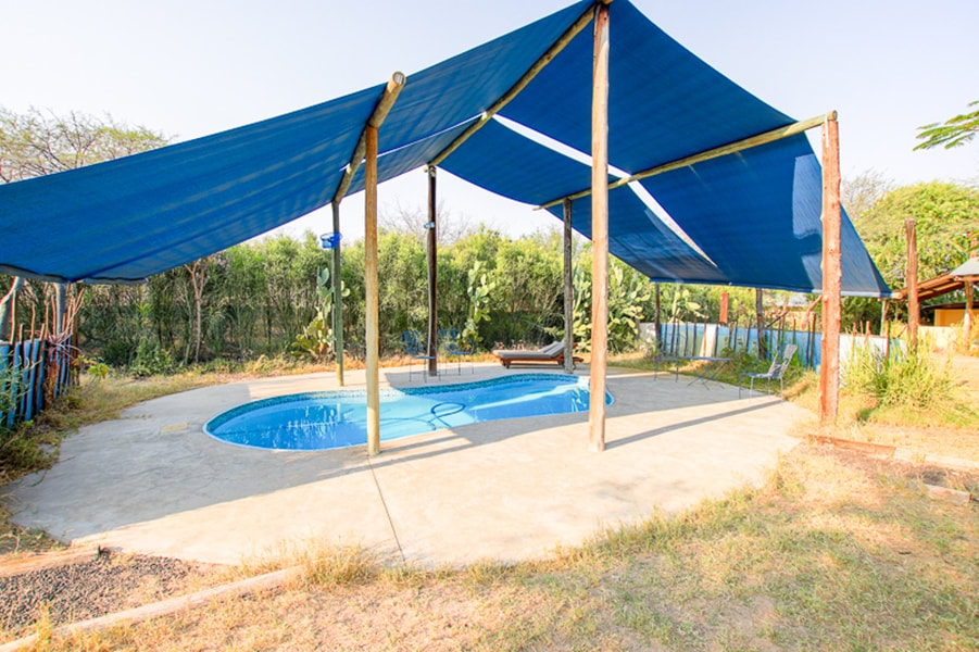 Boteti River Camp swimming pool 