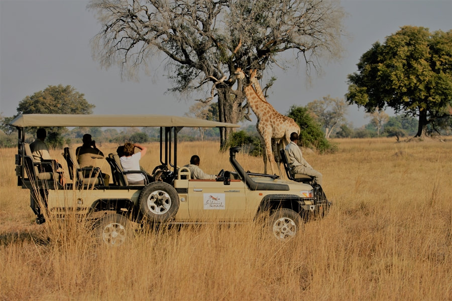Bushman Plains Camp game drive and giraffe sighting