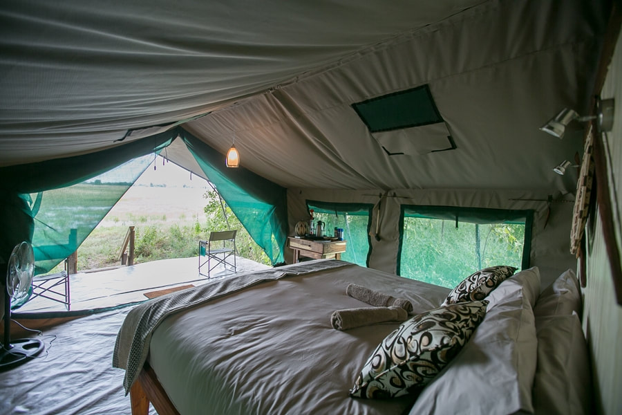 Bushman Plains Camp view from guest tent