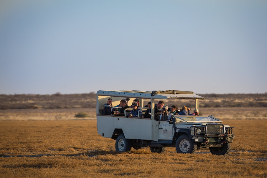 Game Drive in the Central Kalahari