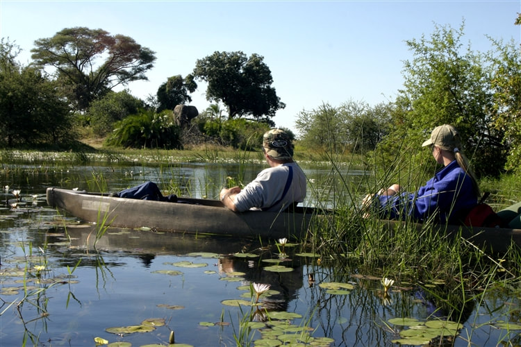 Mokoro excursion, Okavango Delta