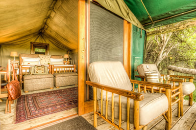 Camp Xakanaxa view into tent