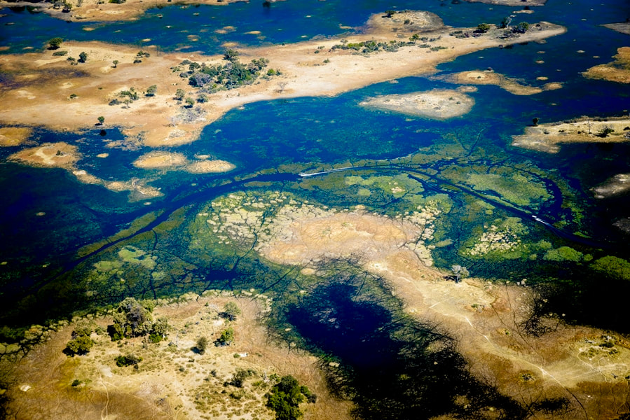 Aerial view of the Central Okavango Delta