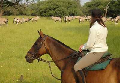 Game viewing on your David Foot riding Safari, Botswana