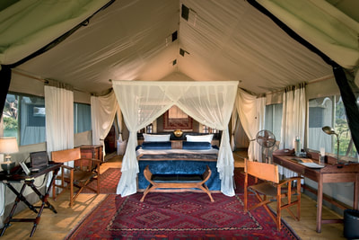 Duba Explorers Camp interior of guest tent