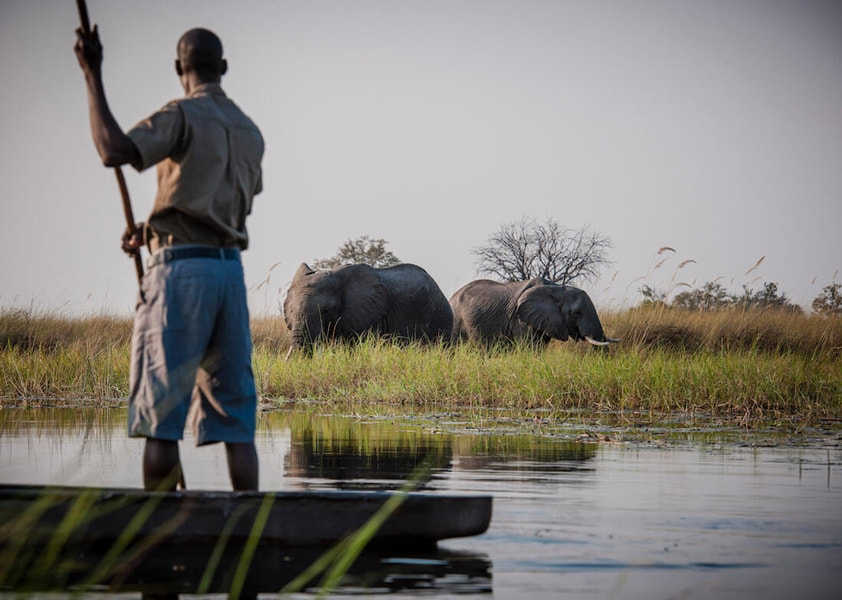 Duke's Camp mokoro excursion and elephant sighting