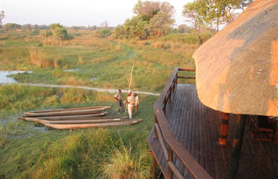 Mekoro excursion Okavango Delta