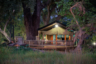 Tented accommodation at Gunn's Camp, Botswana