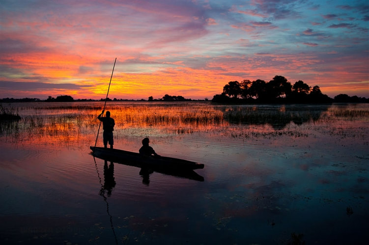 Mokoro being poled in the Okavango at sunset