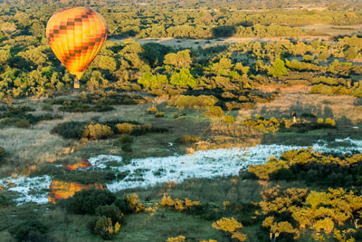 Hot air balloon, over the Okavango Delta