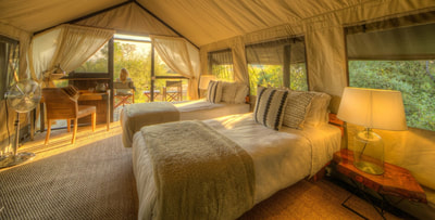 Kadizora Camp interior of standard guest tent