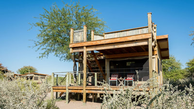 Kalahari Plains Camp guest accommodation