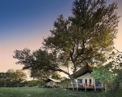View of accommodation at Khwai Tented Camp, Okavango Delta