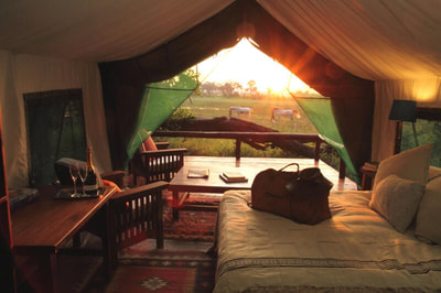 Accommodation at Kujwana Camp on your Okavango Horse Safari
