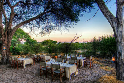 Bush dinner at Leroo la Tau Lodge, Botswana