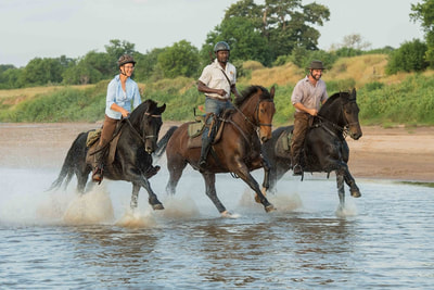 Riding the river shallows on a Limpopo Valley Horse Safari
