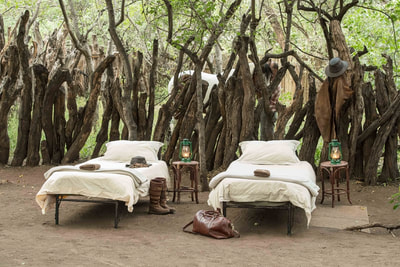 Camp in the Boma on a Limpopo Valley Horse Safari
